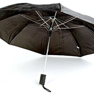 The Weather Station 42-Inch Auto Open Compact Folding Umbrella