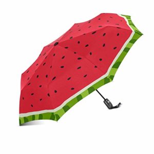 InterestPrint Watercolor Watermelon Slices Funny Fruit Windproof