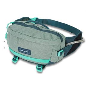 Dakine Hot Laps 5L Hip Pack, Lichen, One Size