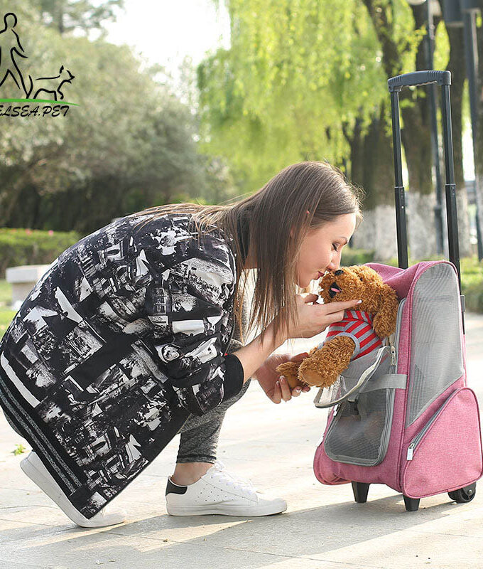 Travel tale Foldable pet Rolling Luggage Spinner Cat/dog Suitcase