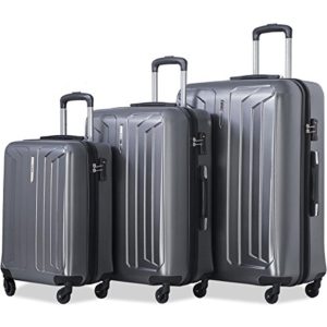 Flieks Luggage 3 Piece Sets Spinner Suitcase