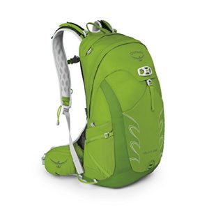 Osprey Packs Talon 22 Backpack, Spring Green, M/l, Medium/Large