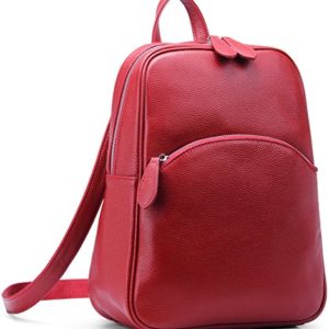 Heshe Vintage Casual Daypack Backapck for ladies