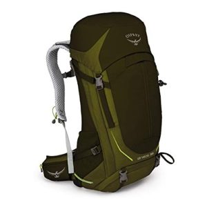 Osprey Packs Stratos 36 Backpack, Gator Green