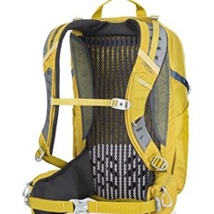 Gregory Mountain Products Citro 20 Liter 3D-Hydro Men's Daypack