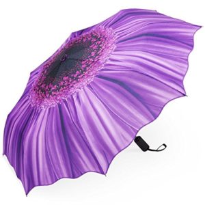 Plemo Automatic Umbrellas, Windproof Purple Daisy Design