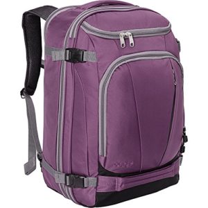 eBags TLS Mother Lode Weekender Convertible Carry-On Travel Backpack