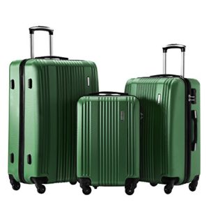 Luggage Set 3 Piece Set Suitcase set Spinner Hard shell Lightweight