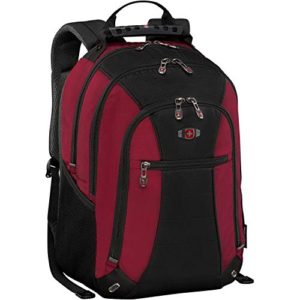 SwissGear Skywalk 16" Padded Laptop Backpack/School Travel Bag