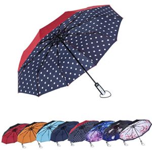 AmaGo Automatic Compact Folding Windproof Umbrella