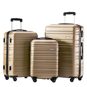 Luggage Set 3 Piece Set Suitcase set Spinner Hard shell