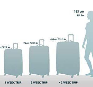 American Tourister Triumph Spinner