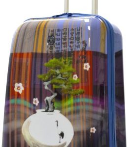 Olympia Luggage Arirang Art Series 21 Inch Carry-on