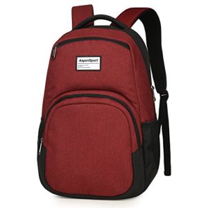 ASPENSPORT School Backpack fit 15.6 inch Laptop - Water Repellent