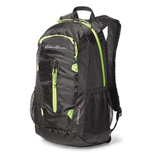 Eddie Bauer Unisex-Adult Stowaway Packable 20L Daypack, Black Regular ONE Size