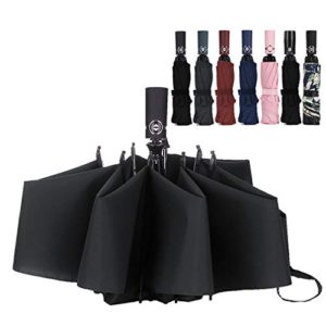 LANBRELLA Compact Travel Umbrella Windproof Auto Open Close