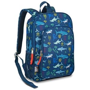 LONECONE Kids School Backpack for Boys & Girls - Sized for Kindergarten