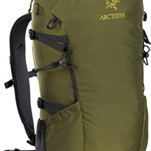 Arc'teryx Brize 25 Backpack (Bushwhack, Regular)