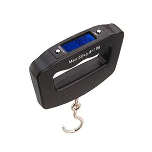 Portable Mini Electronic Scale with Fishing Hoo