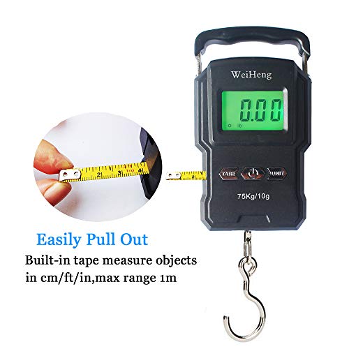 YYGJ Portable Electronic Hook Scale Digital Hanging Bag Review ...