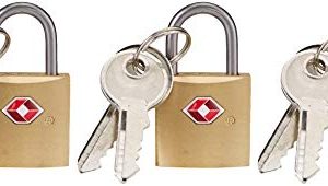 Lewis N. Clark Mini Brass Square TSA Lock + Padlock for Luggage