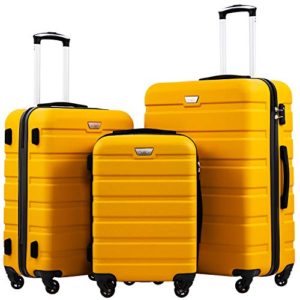 Suitcase Spinner Hardshell Lightweight TSA