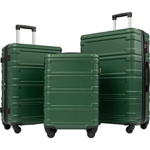 Novelty and Luggage Spinner Expandable Hardshell