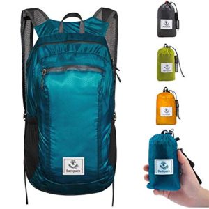 Blue Water Resistant Lightweight Hiking Daypack