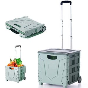 Portable Folding Cart Tools Carrier with Telescopic Handle