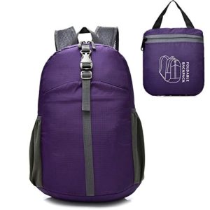 Lightweight Water Resistant Travel Daypack