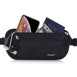 Money Belt, Hidden Passport Holder