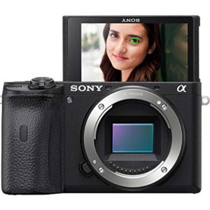 Sony Alpha A6600 Mirrorless Camera