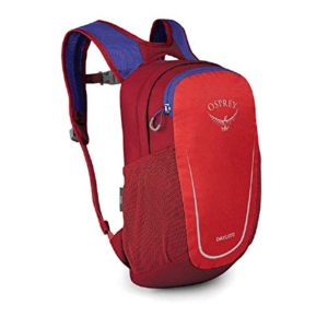 Cosmic Red Kid's Backpack