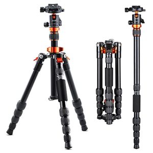 Professional Lightweight Compact Tripod with 360 Degree