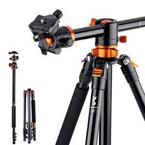 K&F Concept 72 Inch Camera Tripod