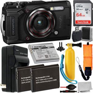 Digital Camera (Black) with Essential Accessory Bundle