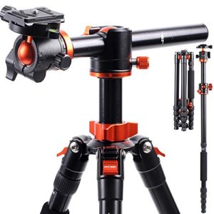 K&F Concept Professional 67 inch Camera Tripod