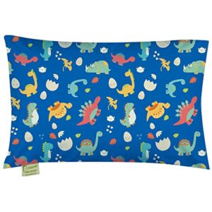 Machine Washable Toddler Pillow with Pillowcase