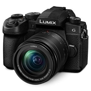 Panasonic LUMIX G95 20.3 Megapixel Mirrorless Camera