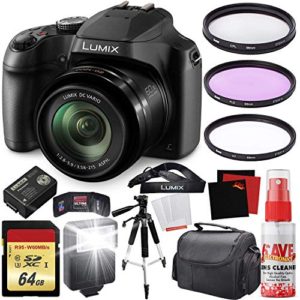 Panasonic Lumix Digital Camera + Carrying Case