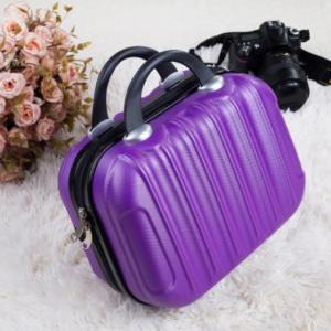 Portable WizzAir Travel Bag